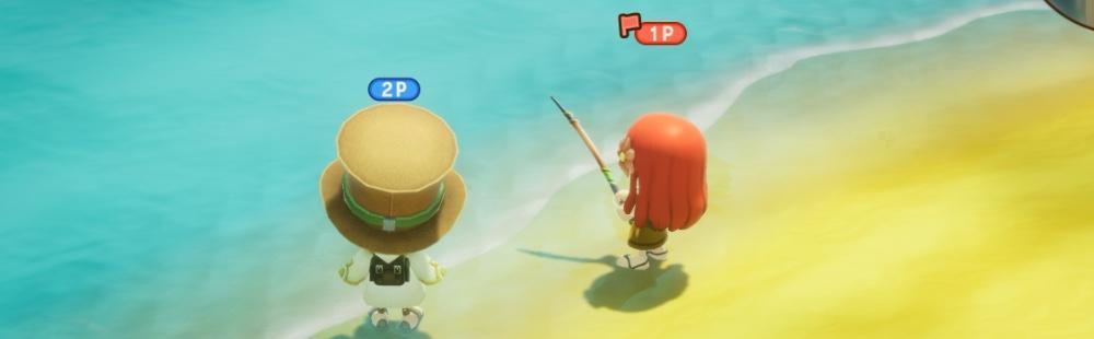 Fantasy Life i Online Multiplayer Guide – How To Play Online With Friends, Quest Progression, and Time Limits