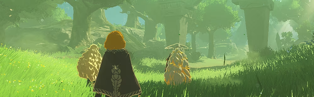 How to access Hyrule Warriors: Age of Imprisonment save data bonus from Tears of the Kingdom & Age of Calamity