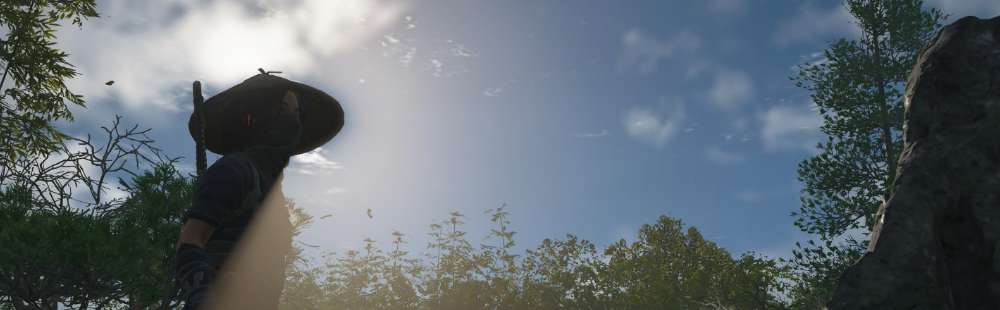 Assassin's Creed Shadows Nintendo Switch 2 Review