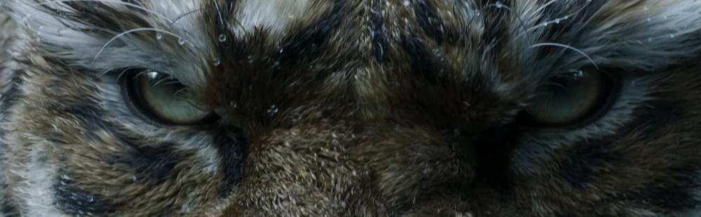 Game Science shares 6-minute Chinese New Year Special video for Black Myth: Zhong Kui