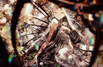 Square Enix announces Bravely Default: Brilliant Lights for mobile devices