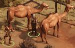 Versus Evil shares a Steam Next Fest trailer for Broken Roads