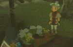 Zelda Tears of the Kingdom: Using the Ring Garland to solve a Gerudo quest