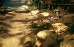 Octopath Traveler II journeys to Xbox Series X|S, Xbox One, and Windows in early 2024