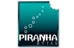Gothic, Risen, and Elex developer Piranha Bytes is now closed