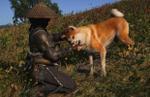 Assassin's Creed Shadows Review