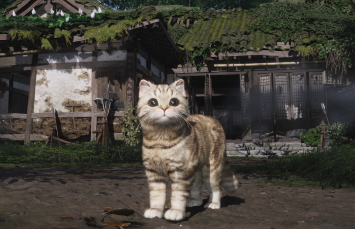 Where Winds Meet Version 1.8 'Companions Make Home' launches June 25
