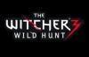 Brand new The Witcher 3: Wild Hunt details emerge