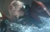E3 2013: Lightning Returns: Final Fantasy XIII Developer Interview