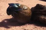 Second Batch of Monster Hunter: World Ecosystem Videos Released