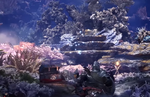 Take to the Coral Highlands in new gameplay footage for Monster Hunter: World