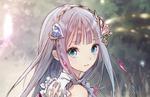 Atelier Lulua: The Scion of Arland will be released in North America on May 21 and in Europe on May 24