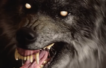 Werewolf: The Apocalypse - Earthblood gets a cinematic trailer
