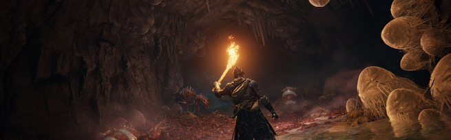 Elden Ring is now shaping up to be an excellent Switch 2 port