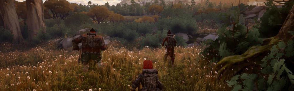 Wayfinder Studios reveals Wyldheart coming to PC via Steam and Epic Games Store in 2027