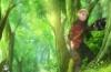Etrian Odyssey Untold: The Millennium Girl - Opening Movie and Limited Edition