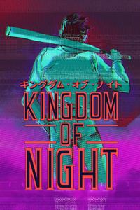 Kingdom of Night boxart