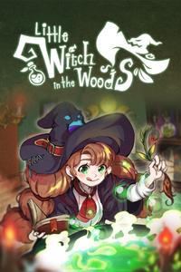 Little Witch in the Woods boxart
