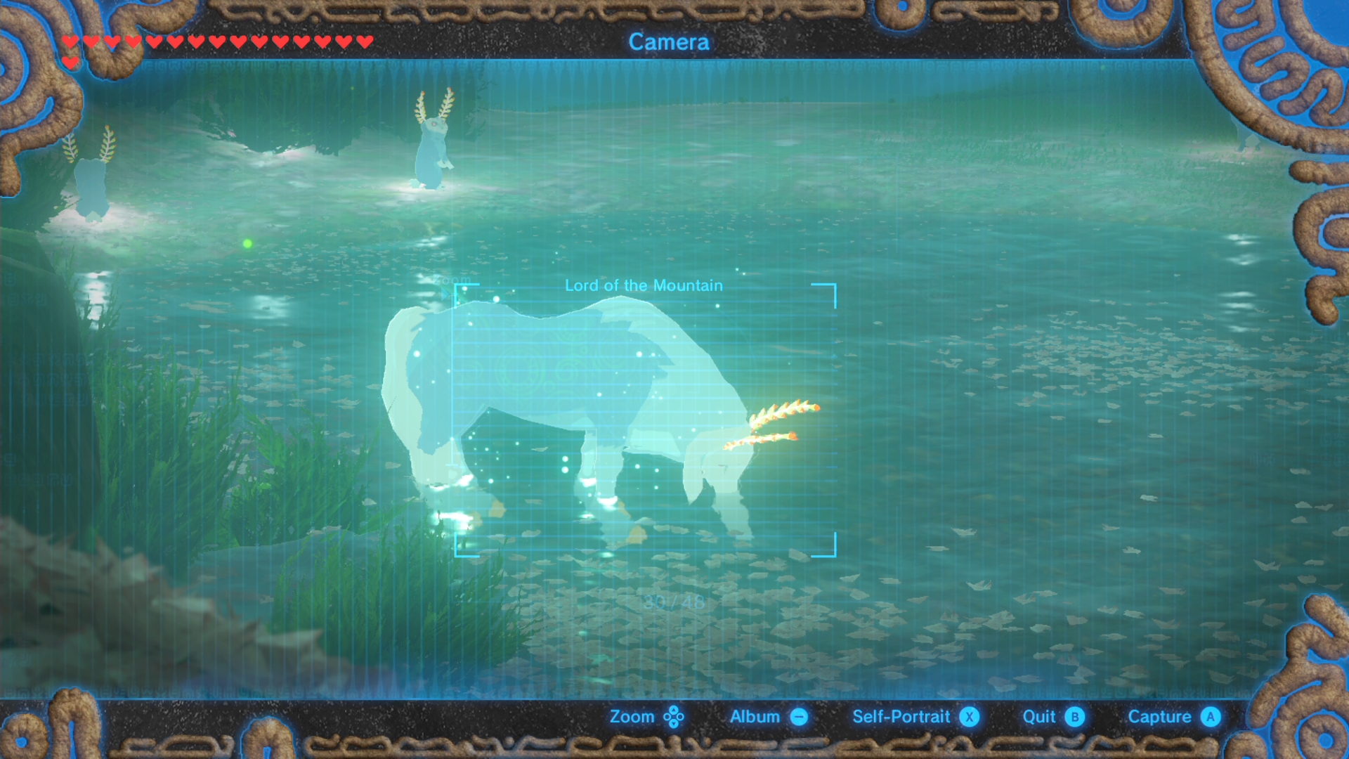Horses and Mounts - The Legend of Zelda: Breath of the Wild Wiki