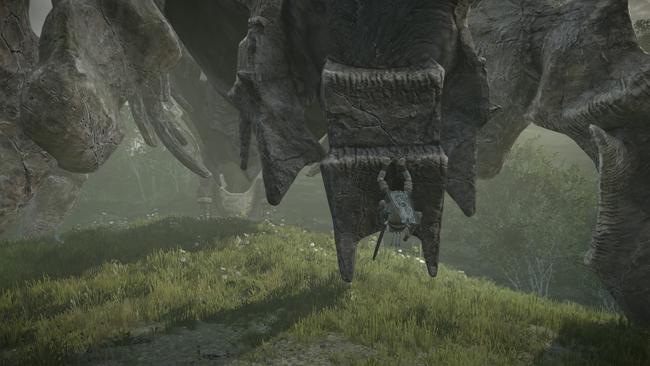 Shadow of the Colossus PS4 - How To Defeat The Fifth Colossus