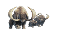 Monster-Hunter-World-Iceborne_Popo.png