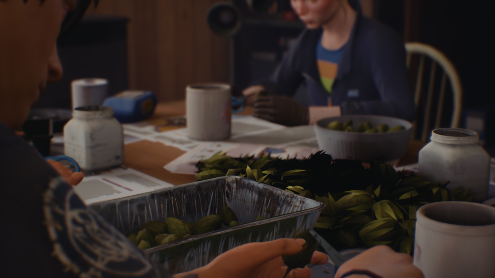 Life is Strange 2  Review – Pizza Fria