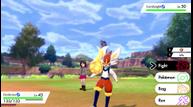 Pokemon_Sword_Shield_11272019_17.jpg
