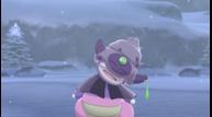 Pokemon-Sword-Shield_The-Crown-Tundra_20200929_19.jpg