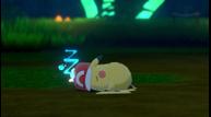 Pokemon-Sword-Shield_The-Crown-Tundra_20200929_34.jpg