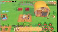 Story-of-Seasons-Pioneers-Of-Olive-Town_20201124_28.jpg