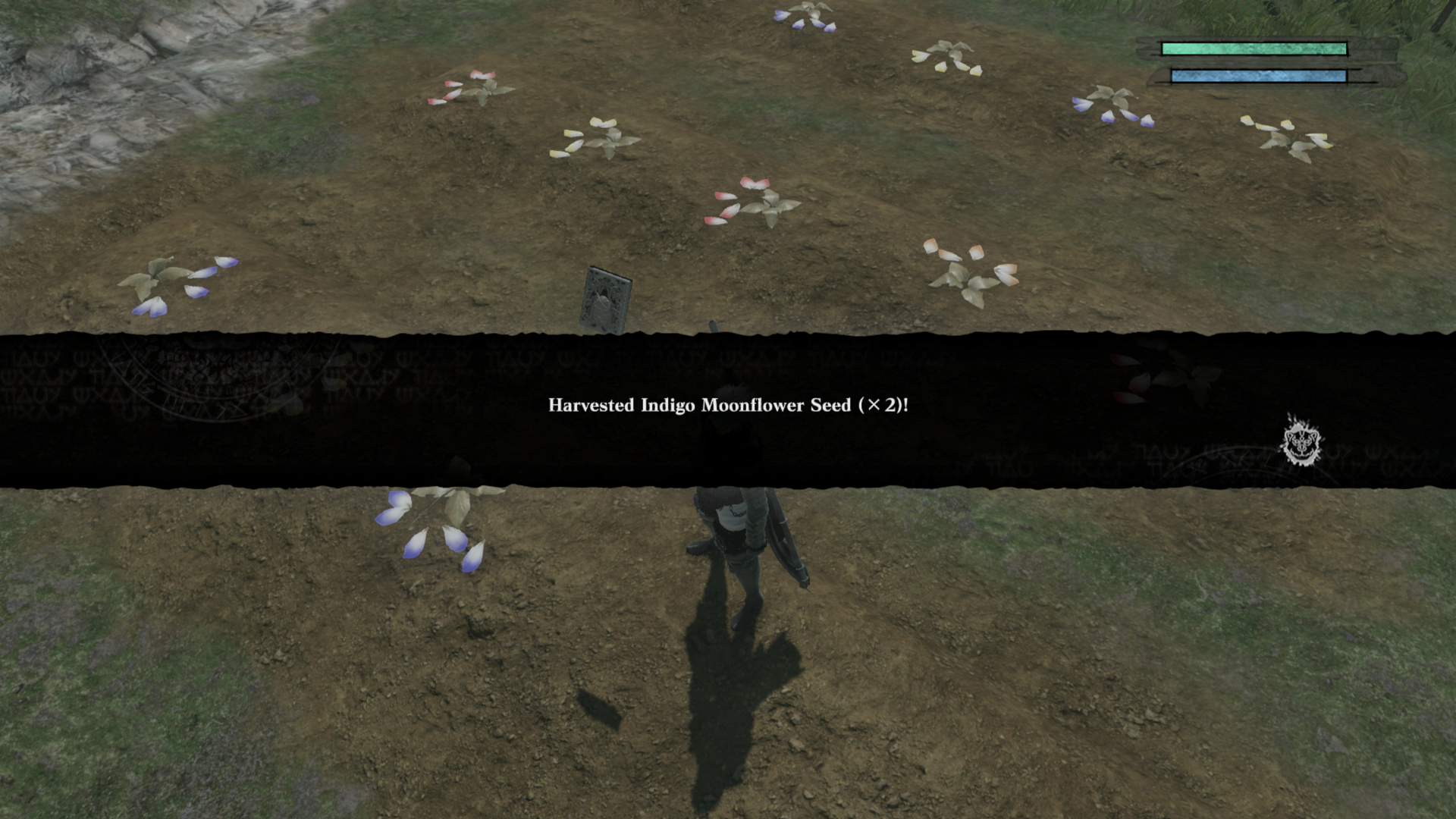 Nier: replicant] #50 tip: start early with the flowers : r/Trophies