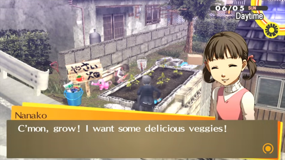 Persona 4 Cabbage