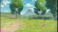 Pokemon-Legends-Arceus_20210818_01.jpg