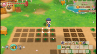 Story-of-Seasons-Friends-of-Mineral-Town_XB1_20210901_01.png