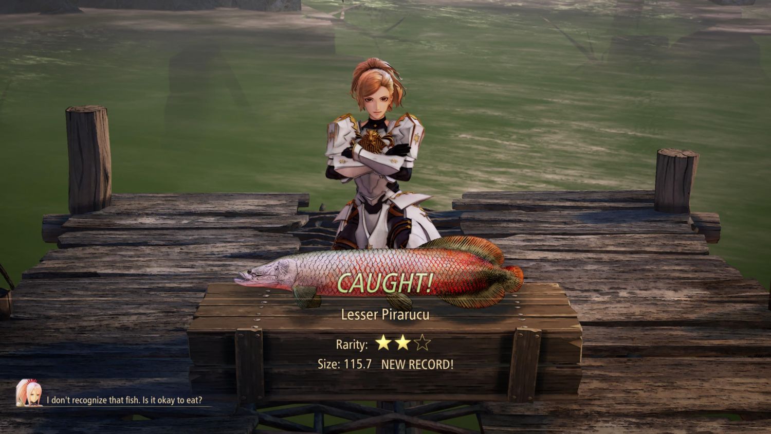 Tales of Arise Fishing - How to catch every fish and earn every