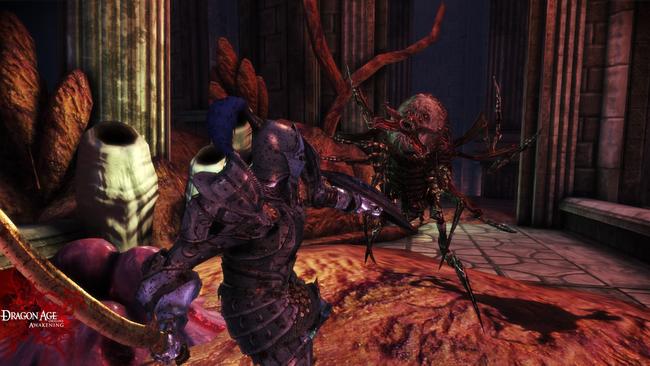 dragonage_awakening_40.jpg