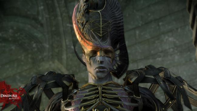 dragonage_awakening_08.jpg