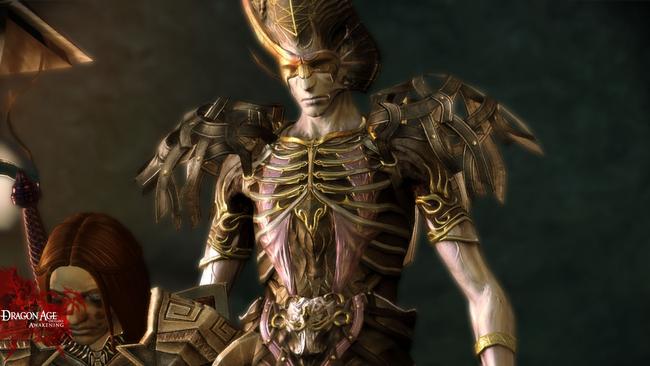 dragonage_awakening_10.jpg