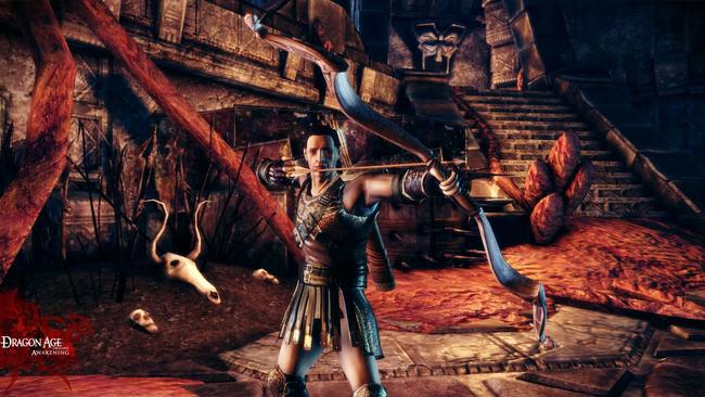 dragonage_awakening_23.jpg