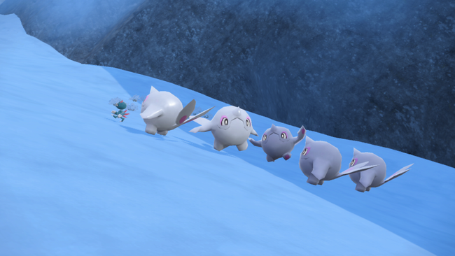 Cetoddle become increasingly common, even roaming in packs, the higher up the mountains you go.