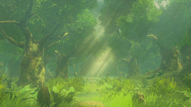 The Korok Forest, Deku Tree, and the Master Sword's plinth all await again in Tears of the Kingdom... if you can find your way through the Lost Woods, that is.