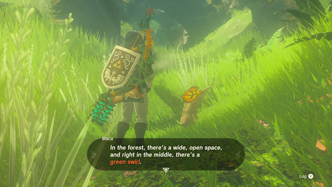 After Korok Forest is purified, you can undertake a number of side quests there.