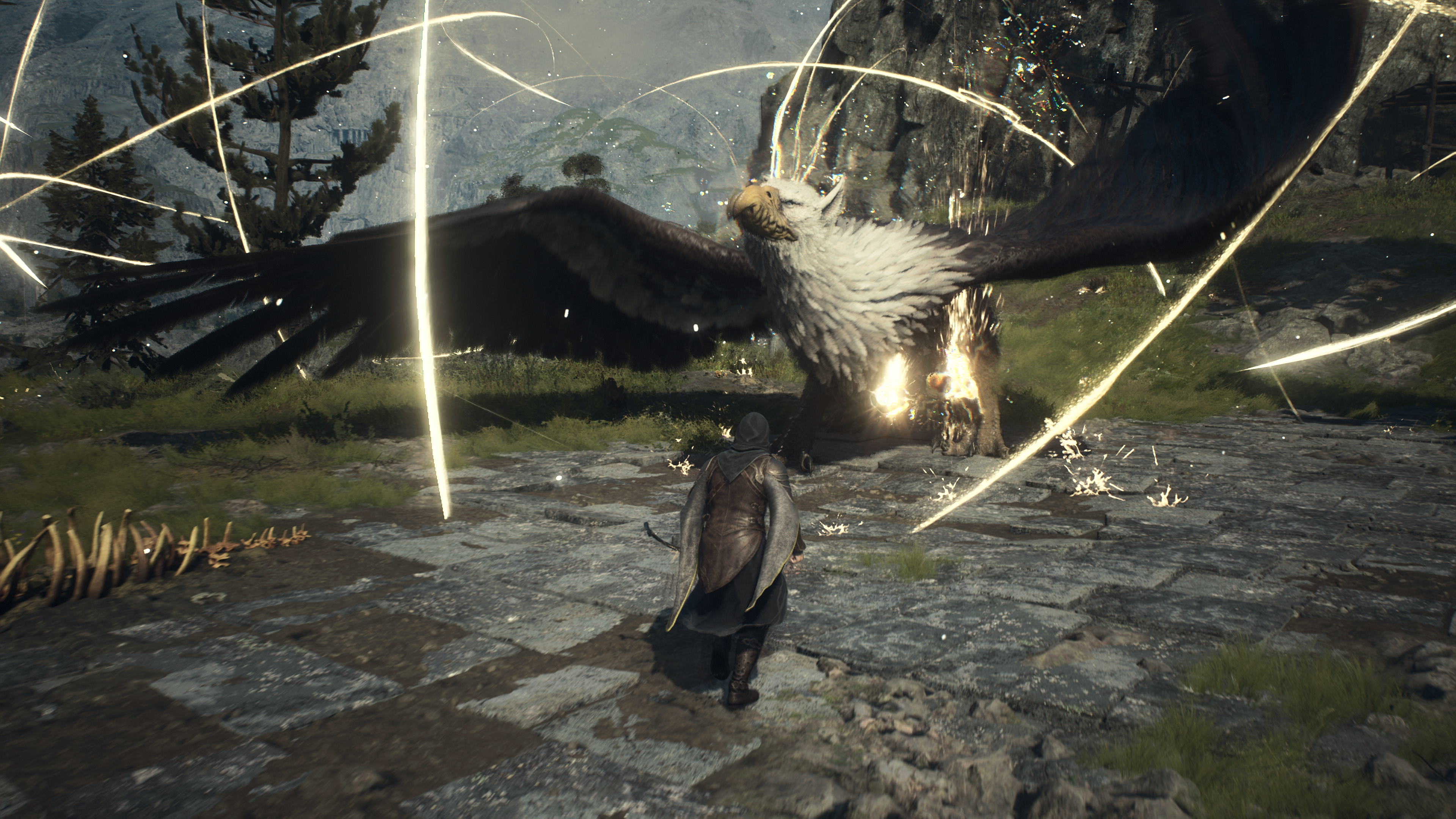 Dragon's Dogma 2 Development Is Progressing Well; Director Hopes To Share  News Soon