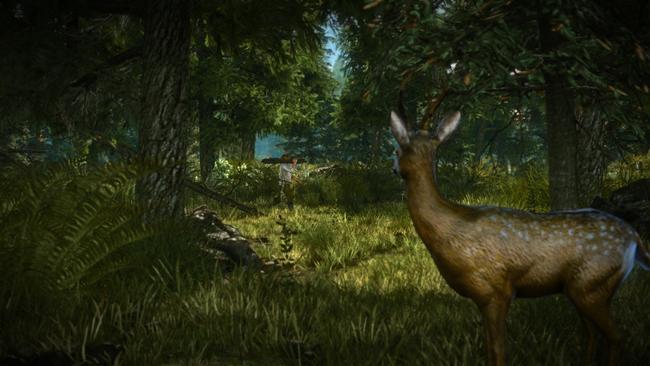 witcher2_enhanced_p_09.jpg