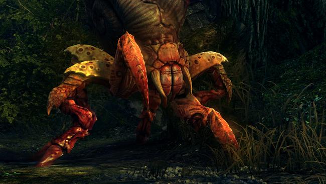 witcher2__01.jpg