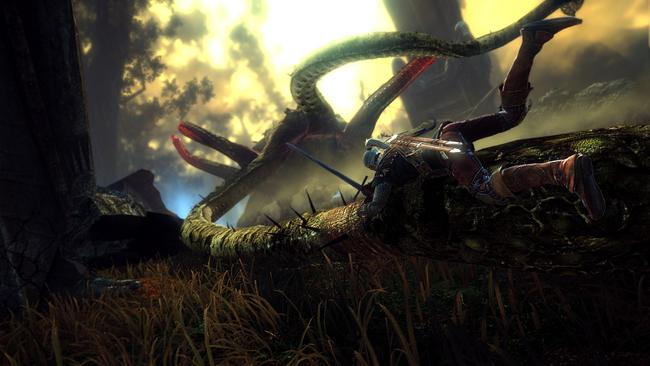 witcher2__45.jpg