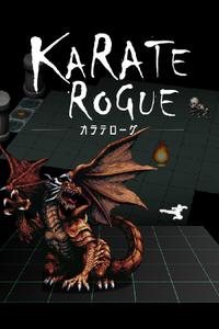 Karate Rogue boxart
