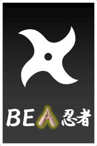 BE Ninja boxart