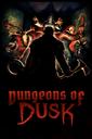 Dungeons of Dusk boxart