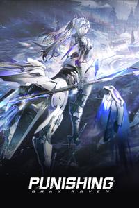 Punishing Gray Raven boxart